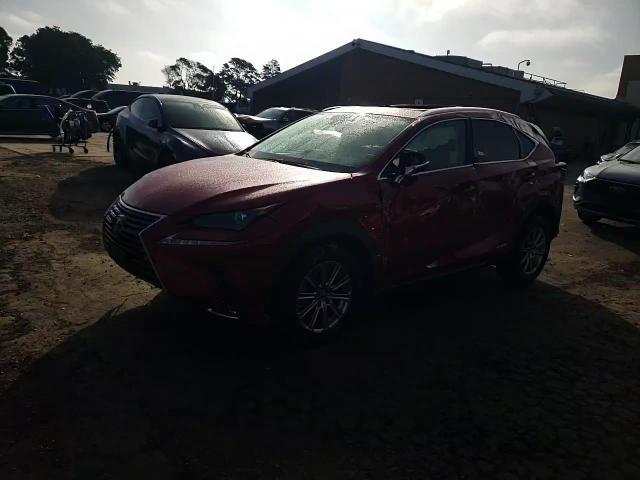 2021 Lexus Nx 300H Base VIN: JTJDJRDZXM5013839 Lot: 70534404