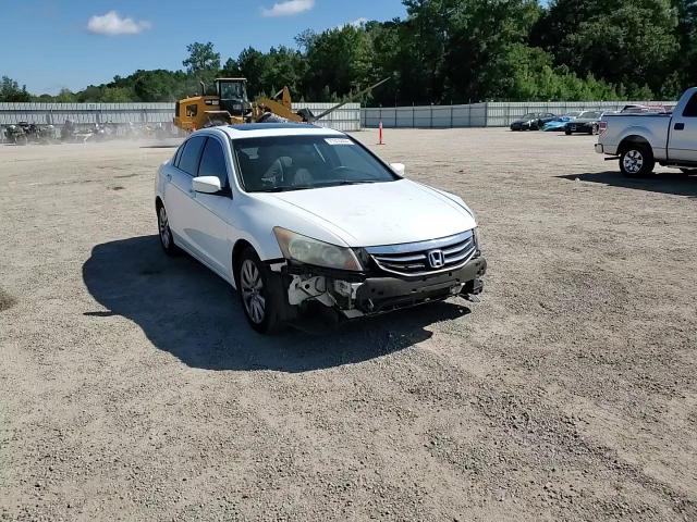 1HGCP2F80CA224807 2012 Honda Accord Exl