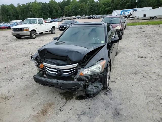 1HGCP3F86BA032005 2011 Honda Accord Exl