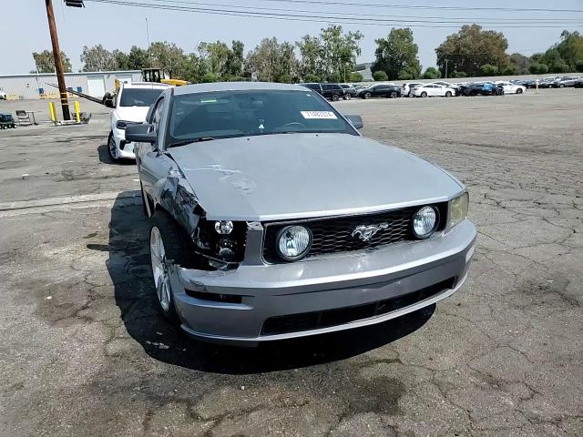 2006 Ford Mustang Gt VIN: 1ZVHT82H465232069 Lot: 71483374