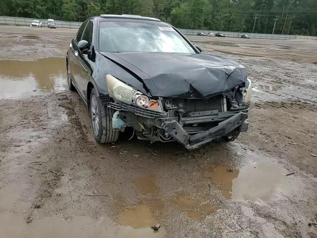 5KBCP3F87BB003541 2011 Honda Accord Exl