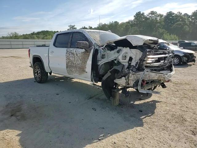 2020 GMC Sierra K1500 At4 VIN: 3GTP9EELXLG193259 Lot: 69753814