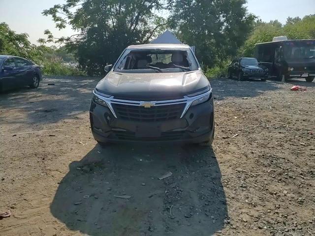 2022 Chevrolet Equinox Ls VIN: 2GNAXHEV2N6114574 Lot: 68286254