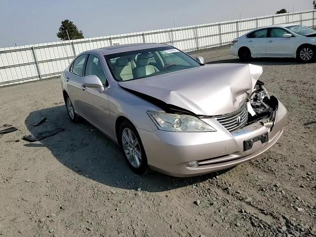 JTHBJ46G872041278 2007 Lexus Es 350