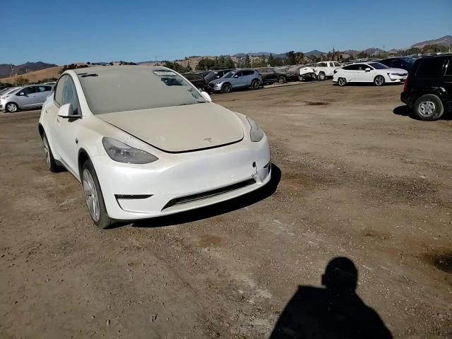 2023 Tesla Model Y VIN: 7SAYGDEE7PF628498 Lot: 69396424