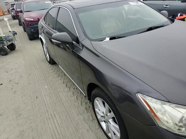 2010 Lexus Es 350 VIN: JTHBK1EG7A2395278 Lot: 71592414