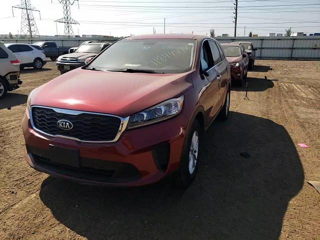 2019 Kia Sorento L VIN: 5XYPGDA34KG541804 Lot: 71844474