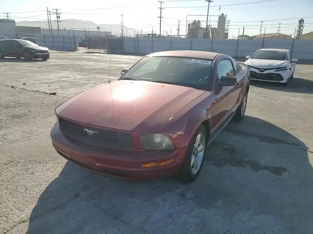 1ZVFT80N655144347 2005 Ford Mustang