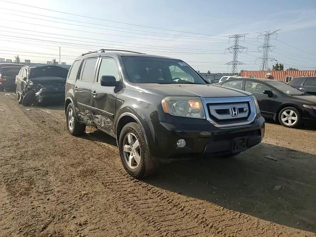 2009 Honda Pilot Exl VIN: 5FNYF48609B038232 Lot: 71373834