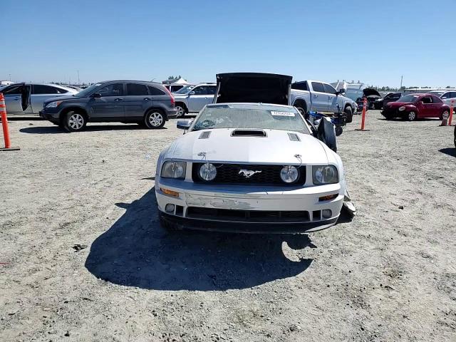 2006 Ford Mustang Gt VIN: 1ZVFT85H565230074 Lot: 72958284