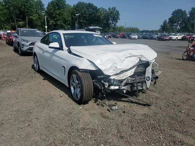 2019 BMW 430Xi VIN: WBA4W5C51KAE43789 Lot: 71436344