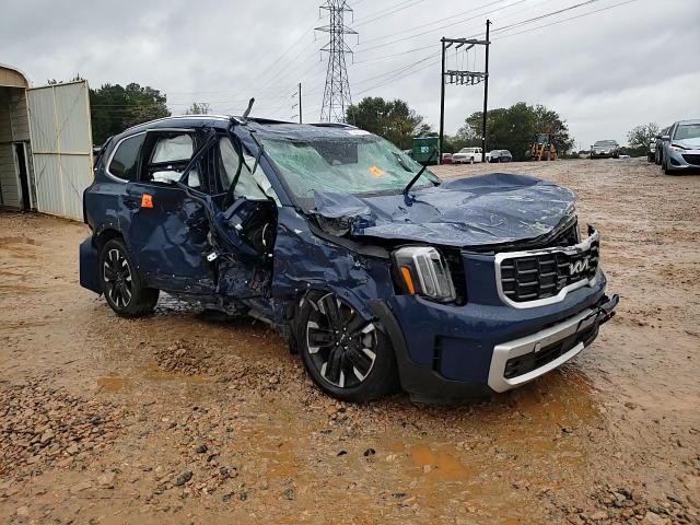 2024 Kia Telluride Sx VIN: 5XYP5DGC5RG432534 Lot: 73202854