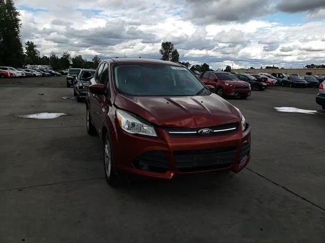2014 Ford Escape - Image 11