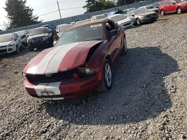 2006 Ford Mustang VIN: 1ZVFT84N165101689 Lot: 70970924