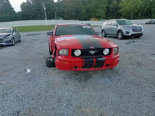 2005 Ford Mustang VIN: 1ZVFT80N755159519 Lot: 72235164