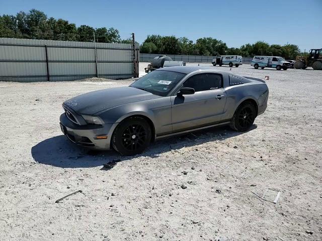 1ZVBP8AM8E5296428 2014 Ford Mustang