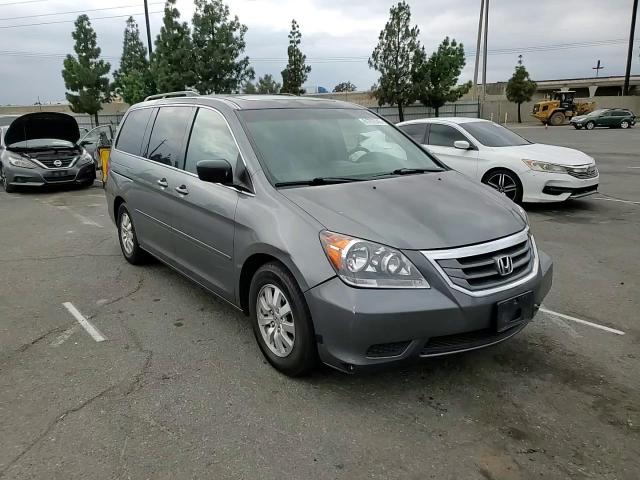 2009 Honda Odyssey Exl VIN: 5FNRL38769B056248 Lot: 81797045
