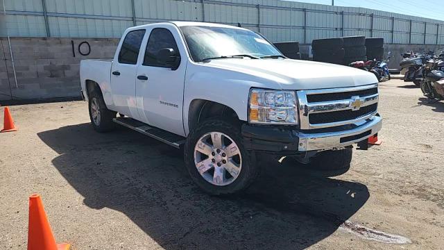 2009 Chevrolet Silverado C1500 VIN: 3GCEC13C49G262248 Lot: 81794585