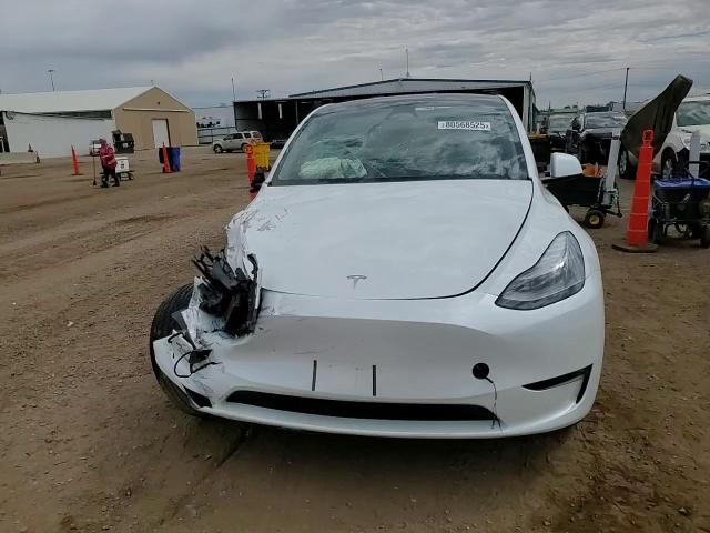 2024 Tesla Model Y VIN: 7SAYGDEE8RF205643 Lot: 80568525