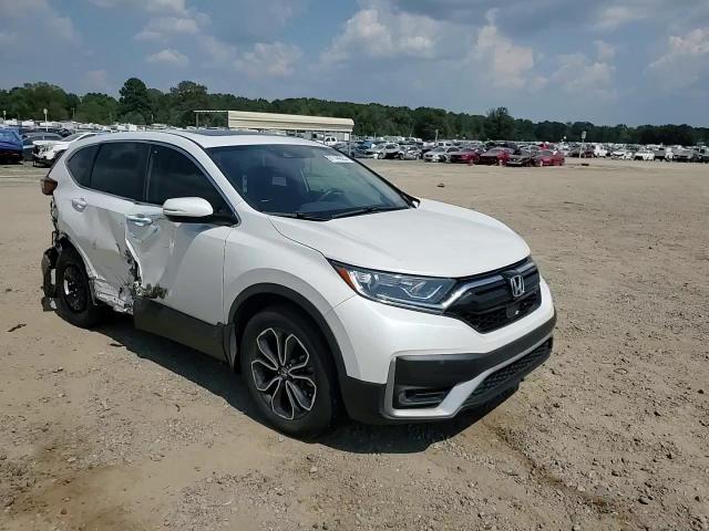 2020 Honda Cr-V Exl VIN: 5J6RW1H84LL011456 Lot: 81144925