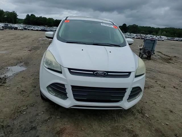 2014 Ford Escape Se VIN: 1FMCU0GXXEUE41344 Lot: 81797505