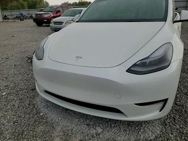 2024 Tesla Model Y VIN: 7SAYGAEEXRF212771 Lot: 81277285