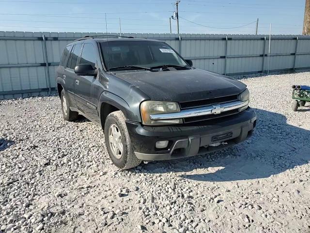 2003 Chevrolet Trailblazer VIN: 1GNDS13S232230637 Lot: 80967955