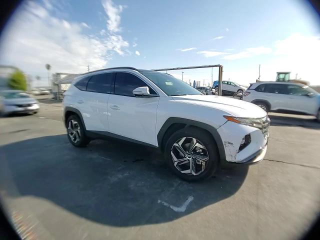 2024 Hyundai Tucson Limited VIN: KM8JECD13RU229221 Lot: 81513345