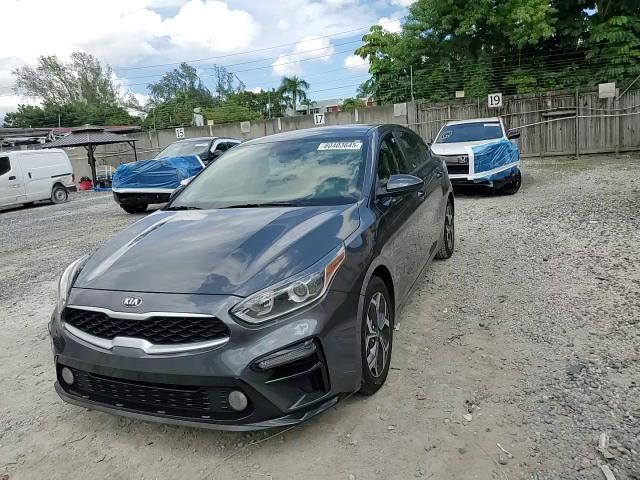 2019 Kia Forte Fe VIN: 3KPF24AD7KE067038 Lot: 80403645