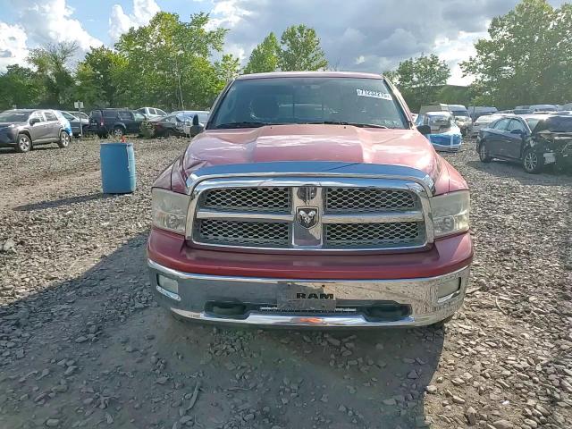 2009 Dodge Ram 1500 VIN: 1D3HV18T49S792610 Lot: 71232215