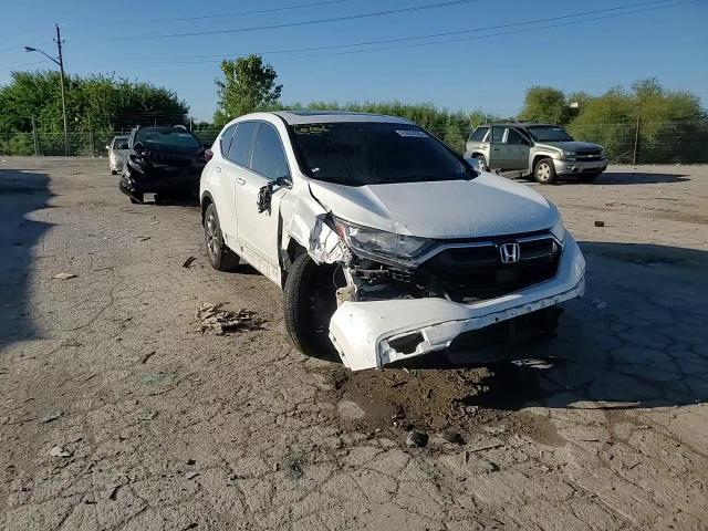 2020 Honda Cr-V Ex VIN: 7FARW1H51LE027438 Lot: 81633535