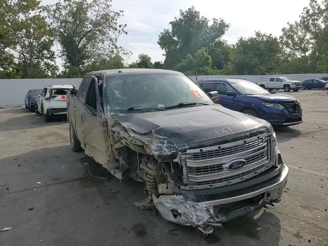2014 Ford F150 Supercrew VIN: 1FTFW1EF1EKE21135 Lot: 81305555