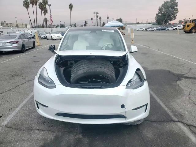 2023 Tesla Model Y VIN: 7SAYGDEE4PF624392 Lot: 81430885