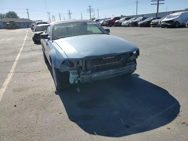 2006 Ford Mustang VIN: 1ZVHT84N165260320 Lot: 80752265