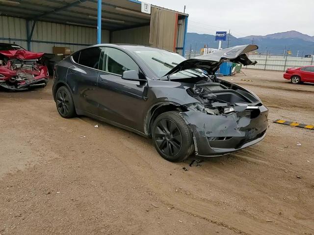 2025 Tesla Model Y VIN: 7SAYGDED3SF228549 Lot: 81584725