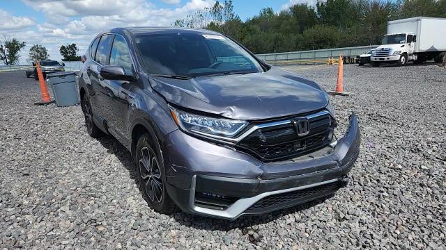 2020 Honda Cr-V Ex VIN: 7FART6H51LE015392 Lot: 81801975