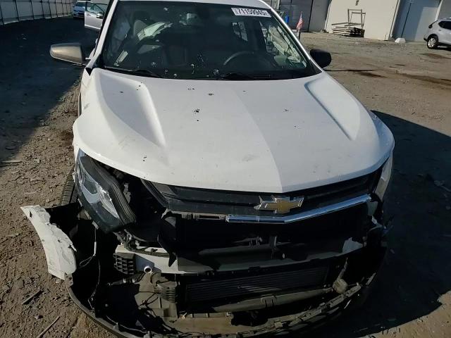 2019 Chevrolet Equinox Ls VIN: 2GNAXHEV6K6193811 Lot: 71159945