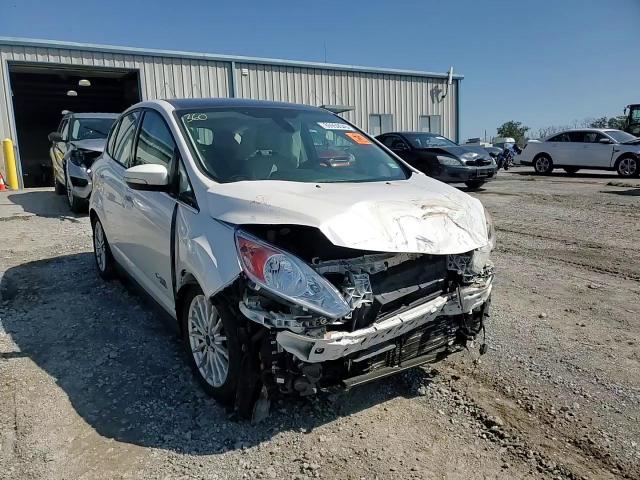 2015 Ford C-Max Premium Sel VIN: 1FADP5CU5FL115408 Lot: 80959545