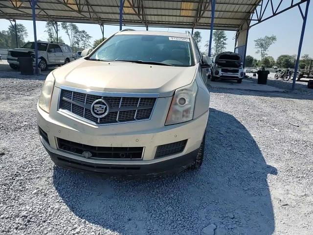 2010 Cadillac Srx Luxury Collection VIN: 3GYFNAEY4AS510596 Lot: 81322505