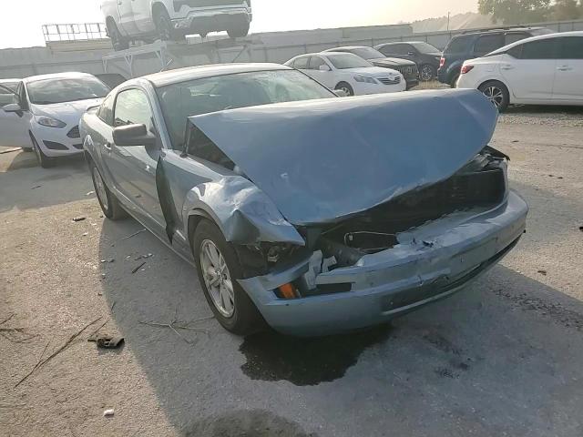 2006 Ford Mustang VIN: 1ZVFT80N265113503 Lot: 81061075