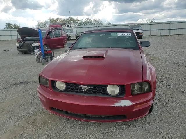 2007 Ford Mustang Gt VIN: 1ZVHT85H775337038 Lot: 70658565