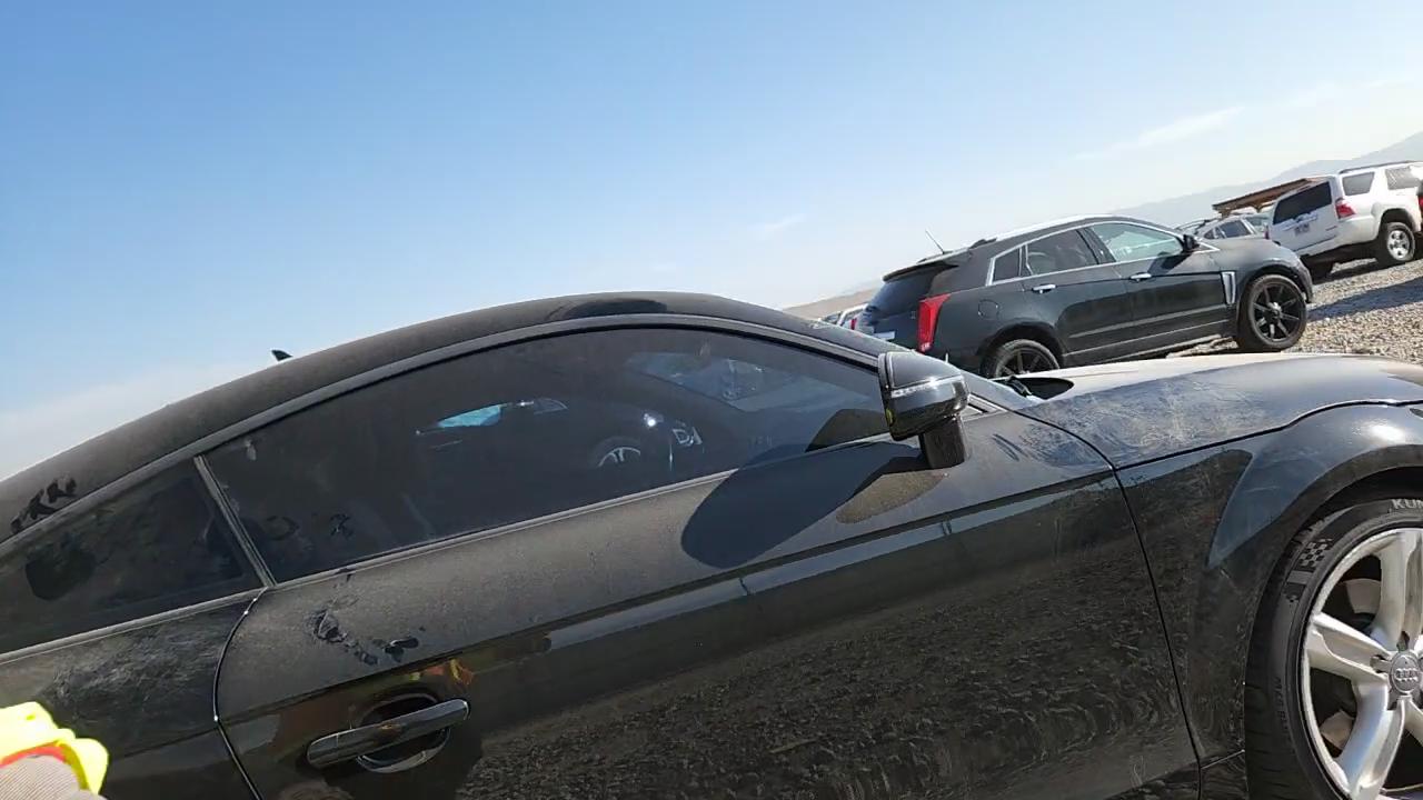 Фото: TRUBFAFK4B1023497