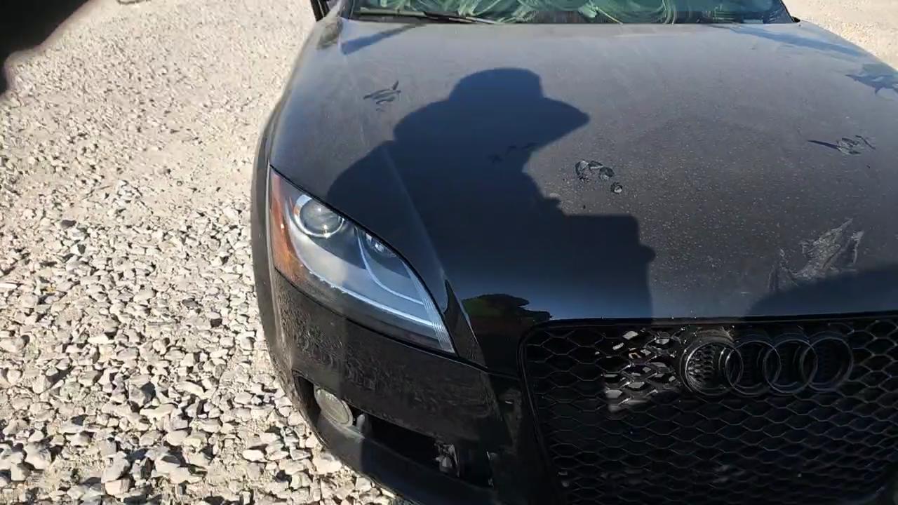 Фото: TRUBFAFK4B1023497