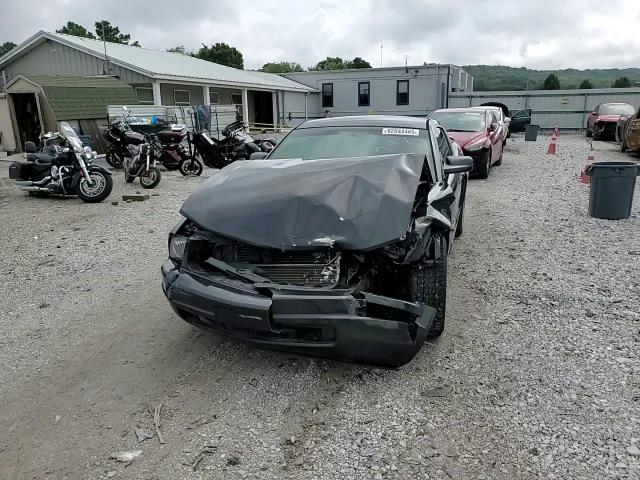 2007 Ford Mustang VIN: 1ZVFT80N975234482 Lot: 82044485