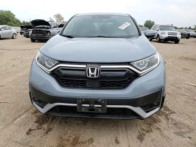 2020 Honda Cr-V Ex VIN: 5J6RW2H59LL023307 Lot: 81321205