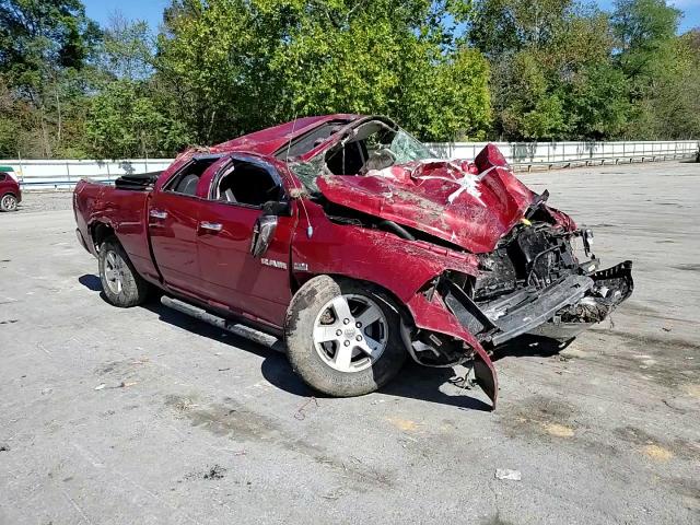 2009 Dodge Ram 1500 VIN: 1D3HV18T09S756686 Lot: 81956135