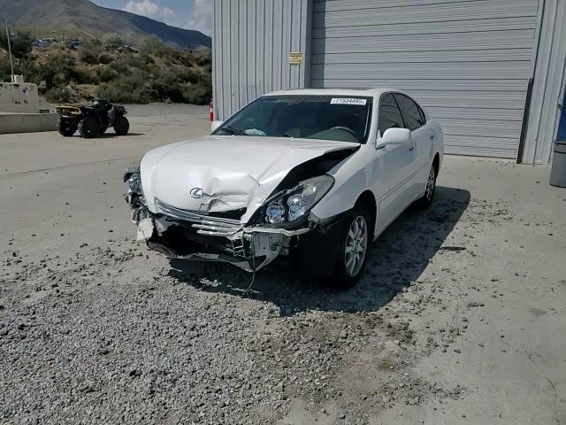 2003 Lexus Es 300 VIN: JTHBF30G135039305 Lot: 71534495