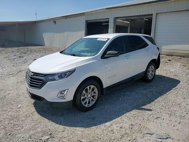 2020 Chevrolet Equinox Ls VIN: 3GNAXHEV0LS575917 Lot: 80338475