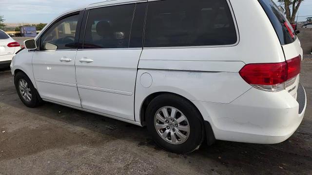 2009 Honda Odyssey Exl VIN: 5FNRL38609B411499 Lot: 71234305