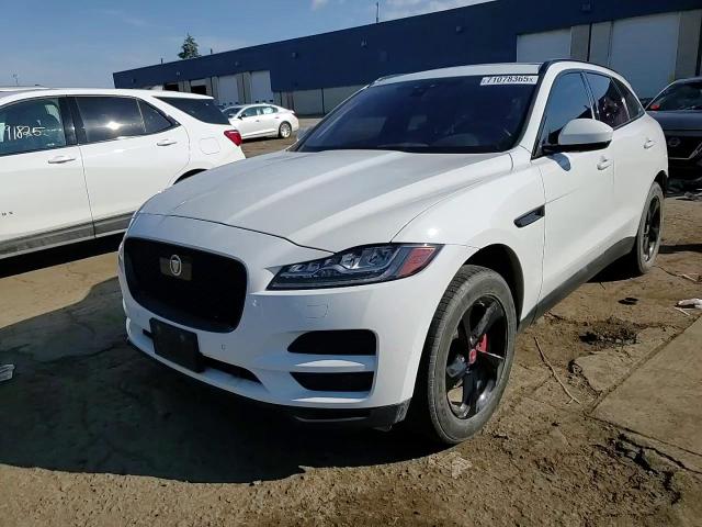 2019 Jaguar F-Pace Prestige VIN: SADCK2FN1KA359381 Lot: 71078365